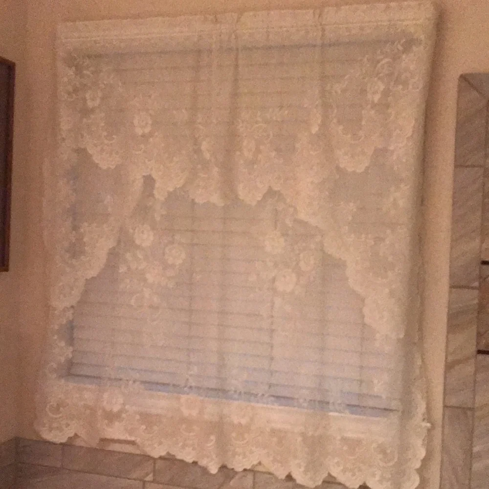 Curtain Sheer Lace Floral Curtain with Attached Valance (1-piece)